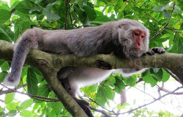 �_���֞鱣�o�r�������C���J�� ���������HЦԒ��