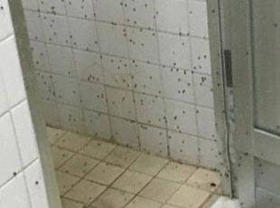 ��WŮ��ԡ�����M�x �W������ϴ�臘������