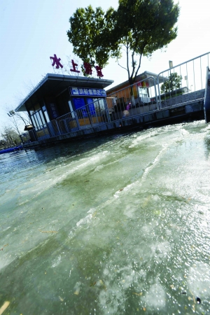 寒潮來襲:手機自動關(guān)機 企鵝出來曬太陽(圖) 寒潮來襲:手機自動關(guān)機 企鵝出來曬太陽(圖)