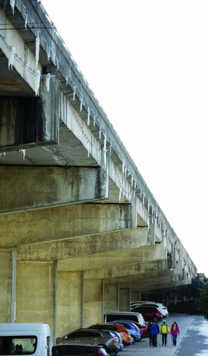 寒潮來襲:手機自動關(guān)機 企鵝出來曬太陽(圖) 寒潮來襲:手機自動關(guān)機 企鵝出來曬太陽(圖)