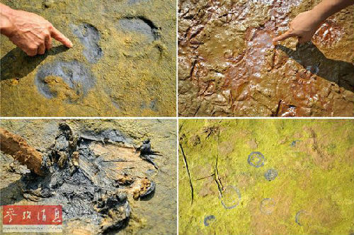 ��ý:�Ї�������Ⱦ���� �ӱ����ִ��f�ֲ��l�l