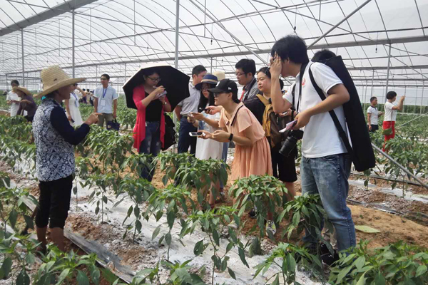 ���W(w��ng)�jý�w���D(zhu��n)�ġ����_���L �ùP߀ԭ �W(w��ng)ý���ġ��������