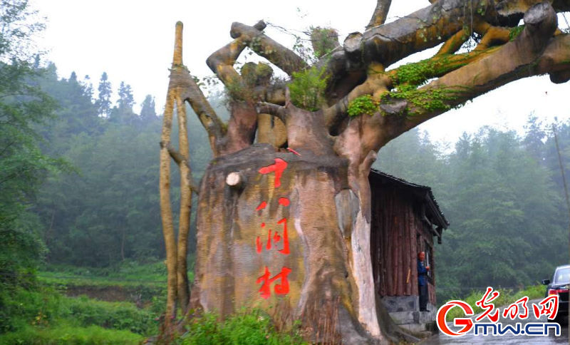 ���W(w��ng)�j(lu��)ý�w���D(zhu��n)�ġ�����(zh��n)��ؚЧ���� Óؚ���¡����M(j��n)�I��