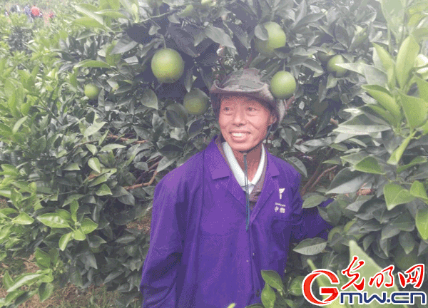 【網(wǎng)絡媒體走轉改】重慶酉陽:紅色土地上的綠色發(fā)展