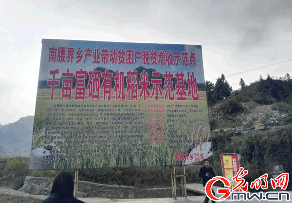 【網(wǎng)絡媒體走轉改】重慶酉陽:紅色土地上的綠色發(fā)展