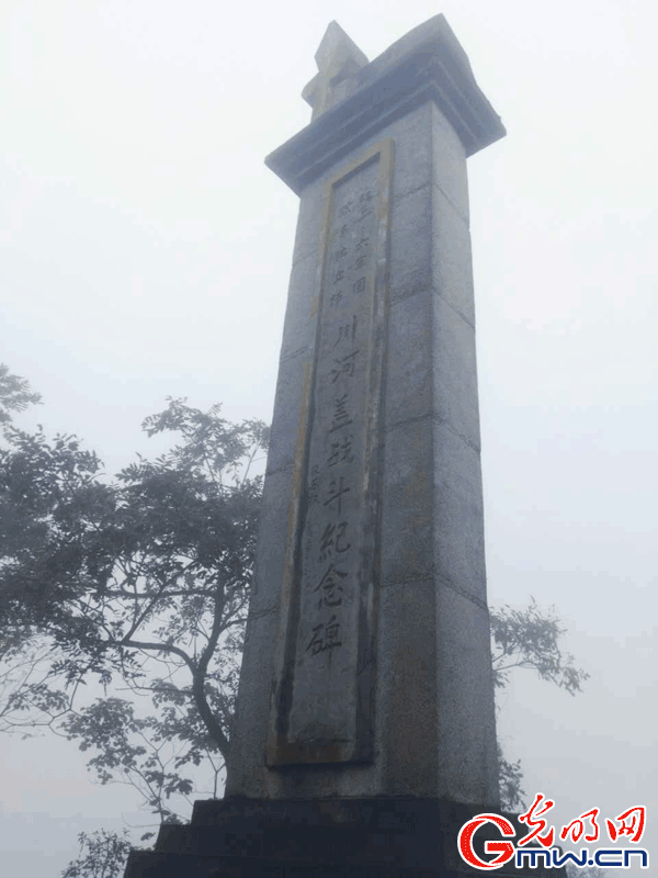 【網絡媒體走轉改】重慶秀山:窮山坳變成致富茶海