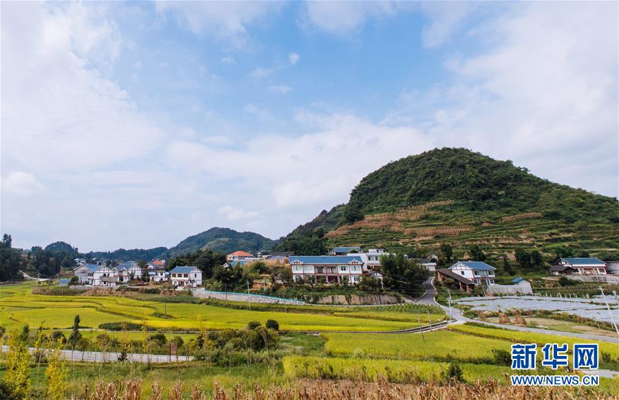 (���Aȫý�^�l��ʮ�Ŵ��؄e��(b��o)�����D�Ļ���(d��ng))(2)����ȫ�w����(du��)���������׷�󡪡����h��ʮ�Ŵ��hʼ�K����Ċ^��Ŀ��(bi��o)