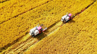 ���I(l��ng)�������̡����I(l��ng)Ⱥ����Ɍ�(sh��)�� �������^(gu��)�üt�t���