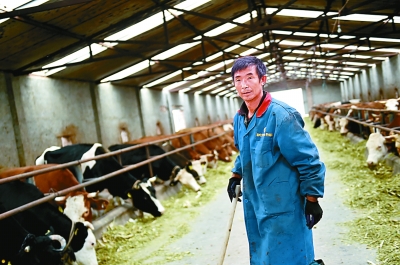 ���I(l��ng)�������̡����I(l��ng)Ⱥ����Ɍ�(sh��)�� �������^(gu��)�üt�t���