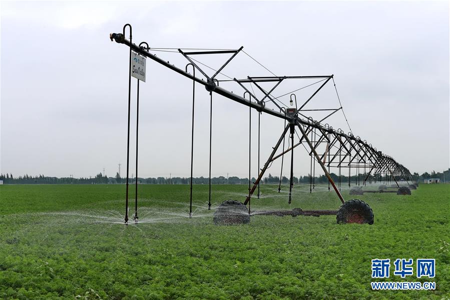 ���Ї���(j��ng)���r�����D�Ļ��ӣ���1����(w��n)������_��ƪ�����h��ʮ�˴��ԁ��҇������r(n��ng)���l(f��)չ�ɾ;C��