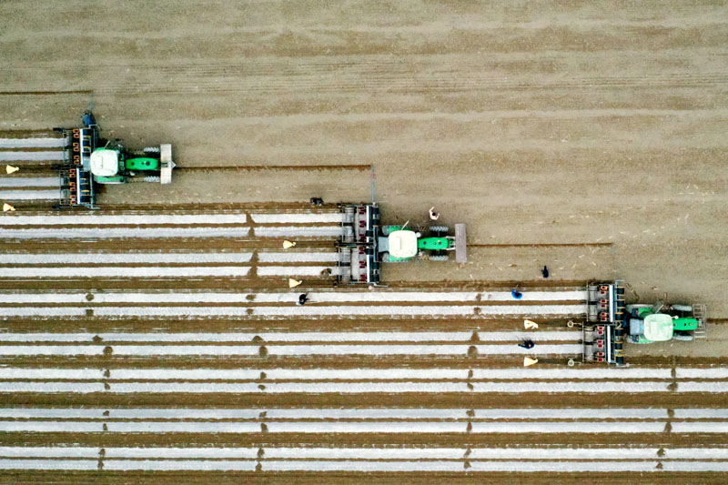 �½����f(w��n)���޻��_(k��i)��