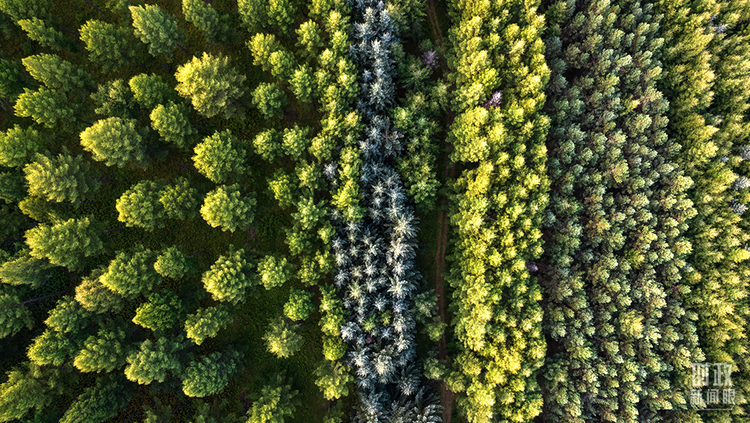 �r������ح�����M�P�I�~������ƽ����ӛ�е�֮��