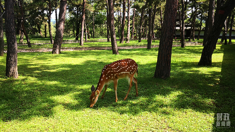 �r������ح�����M�P�I�~������ƽ����ӛ�е�֮��