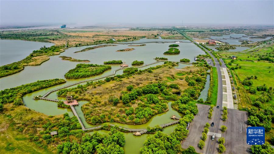 �����Aȫý�^�l���D�Ļ��ӣ���3����׌�҂�һ����δ���������� ����ƽ��ϯ2022�������R�~