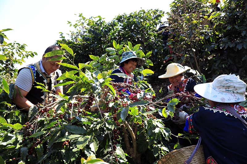 �������ڲ�ժ���ȡ���ƽ�z