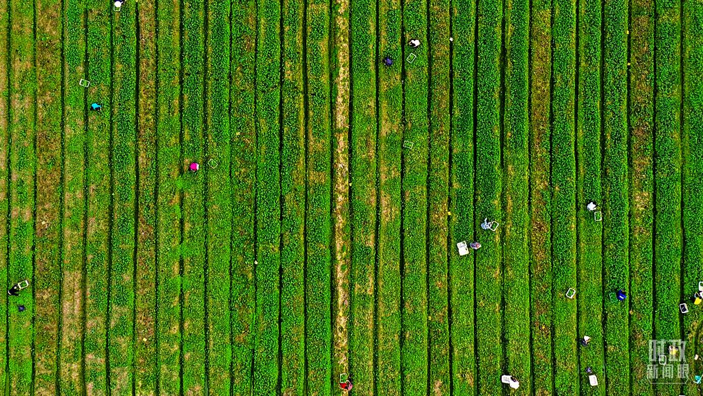 �������ݣ�Ҏģ���r��־�Ȼ���򡣣��D/ҕ�X�Ї���