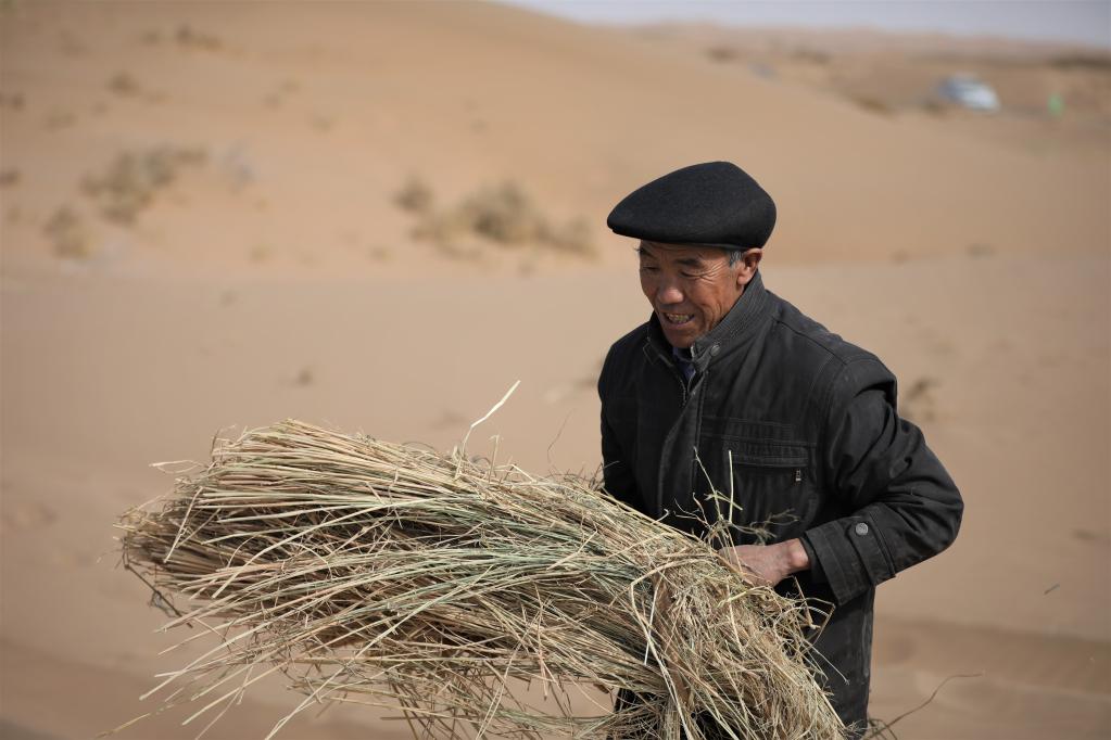 ����2020��3��5�գ��ڹ��˿h����ɳ�^���鍏��ɳ�c�����f�������ݷ���ɳ�����A��l���Rϣƽ�z��