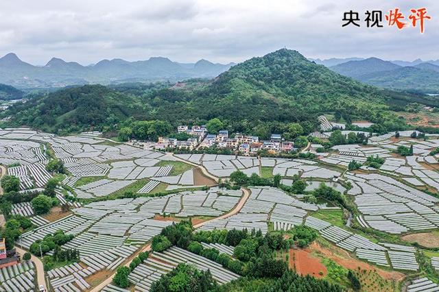 ��ҕ���uح����؞���°lչ���� ���������°lչ���