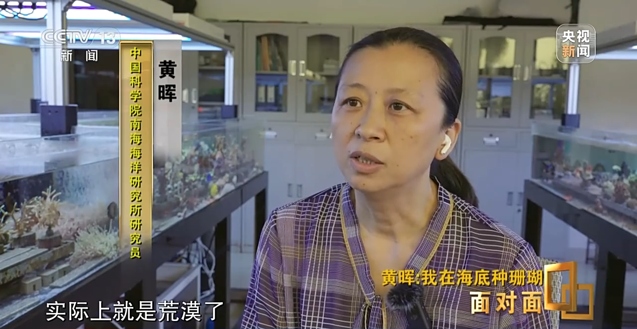 �挦��ح��ɺ���������S�����N��һƬ������ɭ�֡�