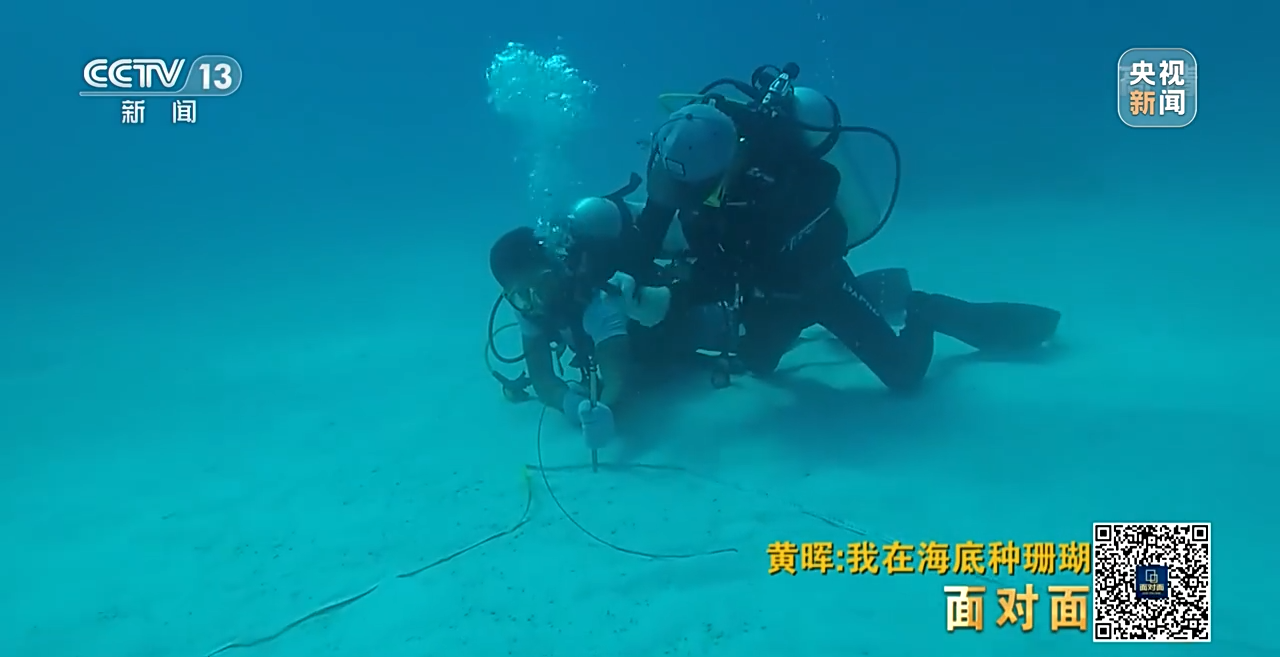 �挦��ح��ɺ���������S�����N��һƬ������ɭ�֡�