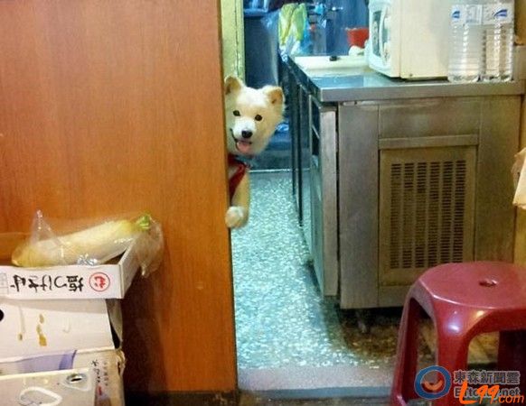  �I(l��ng)�B(y��ng)����ُ(g��u)�I���_(t��i)�����˹�̽�^�u��������ȥ�ϰ�