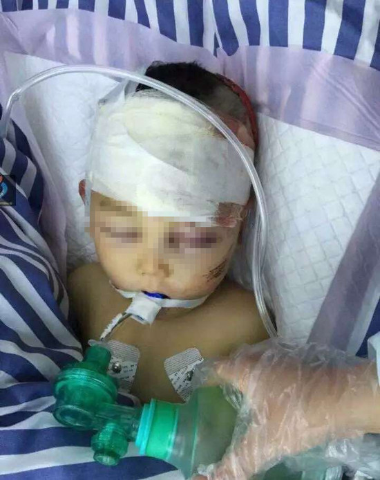 兩幼子到地里摘錯菜 繼父操磚頭雙雙砸死(圖) 兩幼子到地里摘錯菜 繼父操磚頭雙雙砸死(圖)