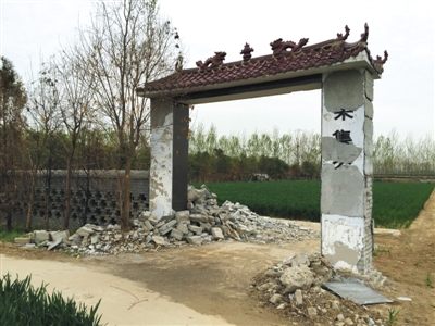 朱集村雙龍灣公墓東、南兩面墻已經被拆除,公墓里面也被村民種上了麥子。