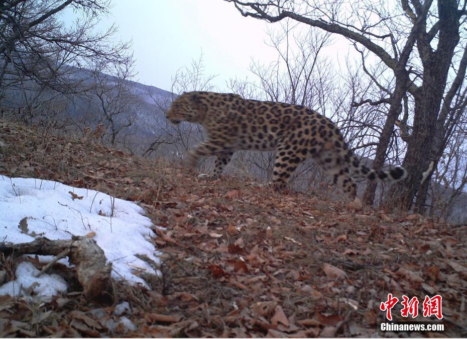 �������Ϡ��X�|���������E�M��O�y�ԁ�����S��