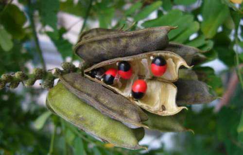 �L�ژ��ϵ���˼��