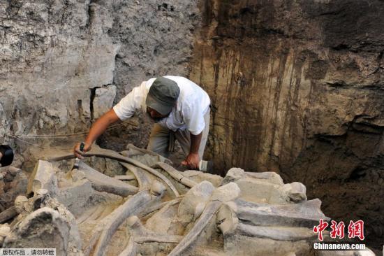 ����������ʯ��2015��12�±��l(f��)�F(xi��n)�������������r(sh��)�ڡ�