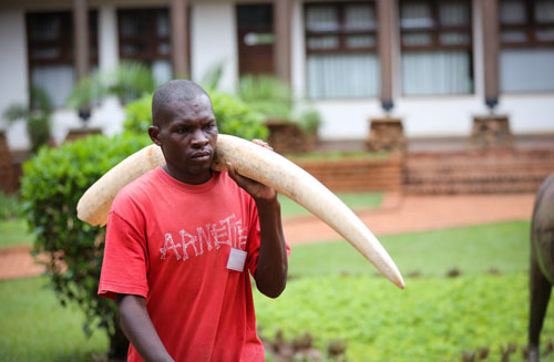 Ӣý:�|������F��ٿط���������˽��ȫ������