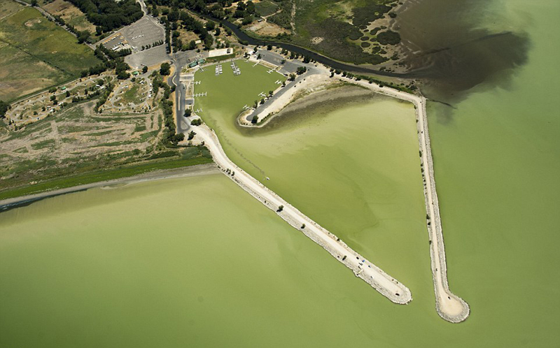 ���q�����{�帲�w���� ���°����ж�