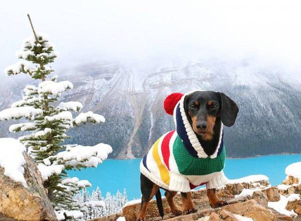 ��Ӣ����ÿ���]�󡷈�������ô�7�q���D�cȮ�������ǂ��W�t�����ڡ�Ę�V�����ѾWվ����140�f���۽z��