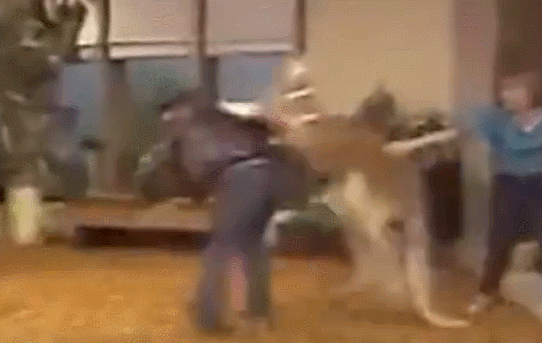 ����׃ȭ����һȭKO����