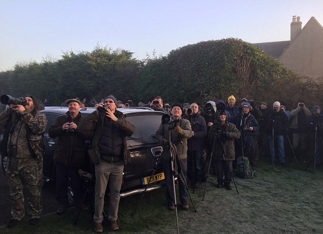 Ӣ��С��F(xi��n)��Ҋ�B����(sh��)���˼����C(j��)�Ĕz