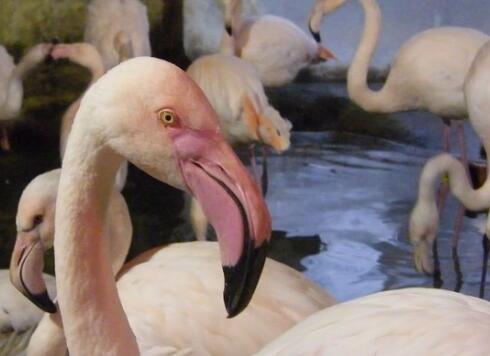 �o��ꡰ���������q��򡱺��o���w�� ֻ�����пͣ�