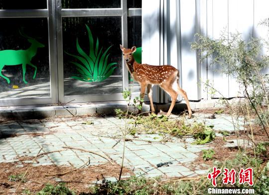 �_ٛ���÷��¹����̥¹�����M��ȡ�������족