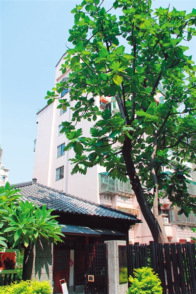 到臺灣看看他們的家 到臺灣看看他們的家