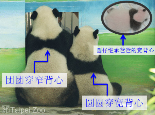 �F�F���A�A�ı����ڰ�Ҳ��ͬ�����DƬ���Y�ρ�Դ���_����؈�ܱ����W��