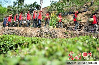 �����˲��������r(n��ng)�ɲ衱�`��Ⱥ��·��