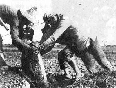 �����ظĸ﷨������ʩ�� �����\��ȫ��չ�_